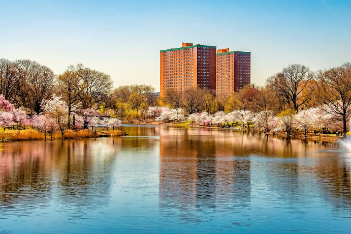 Agência de Marketing para Brasileiros em Newark, NJ