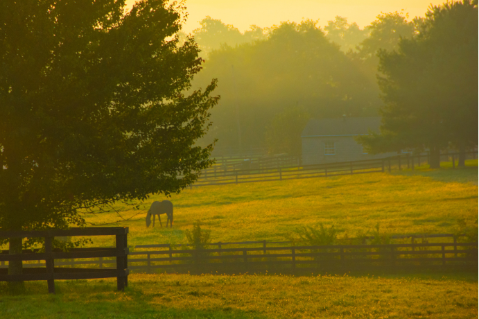 Agência de Marketing para Brasileiros em Lexington, KY