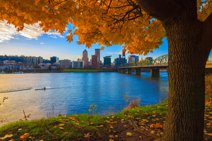 Agência de Marketing para Brasileiros em Portland, OR